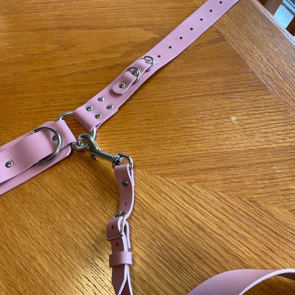 Bleak & Sleek REAL PINK LEATHER Leo Garter belt and garter Size Large - Picture 12 of 12
